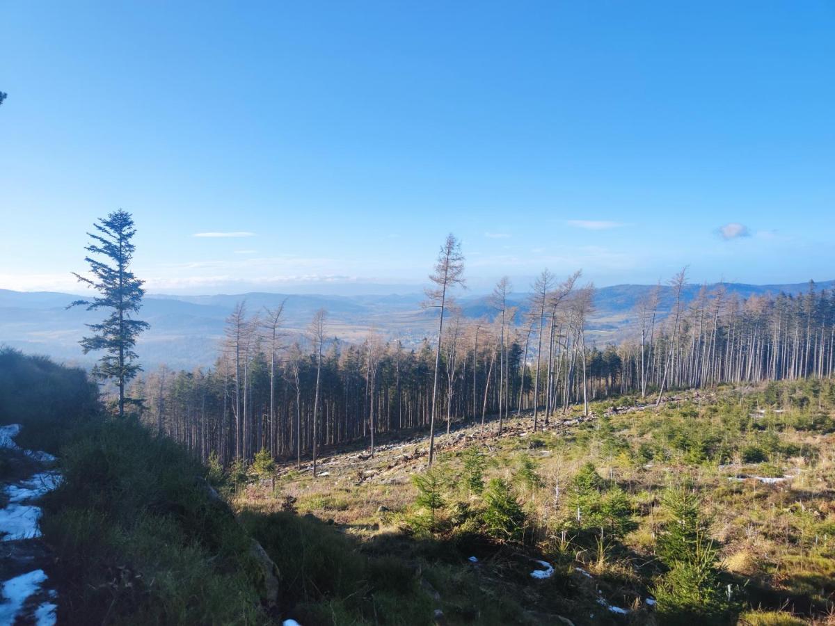 Willa Janina Lądek-Zdrój Buitenkant foto